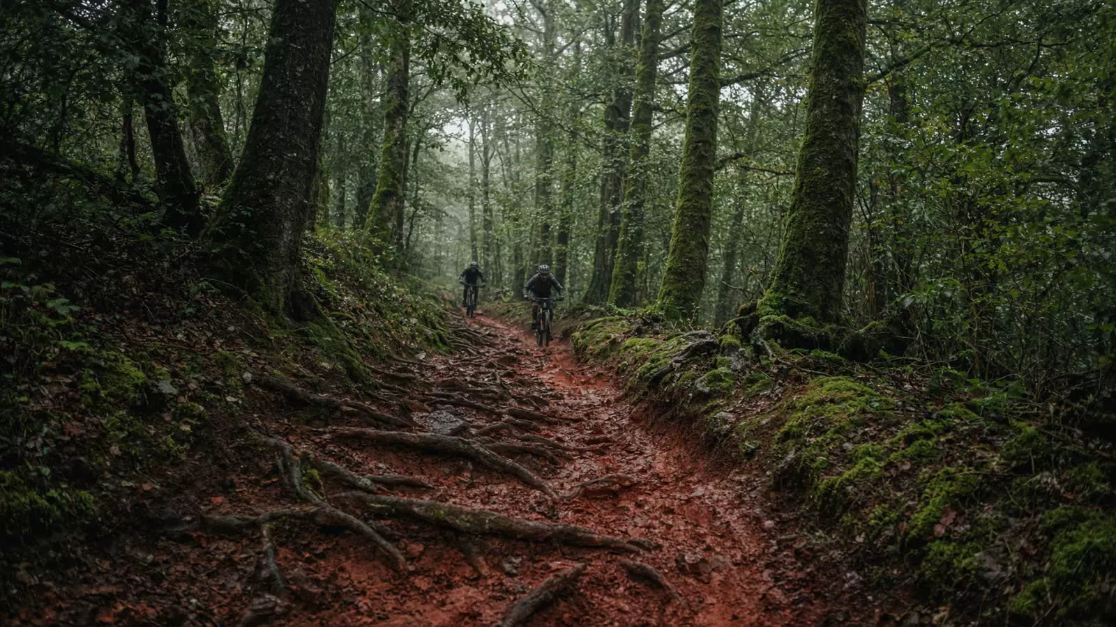 Mountainbikevakantie Ardennen (België) met Dirtbags & Mudbabes